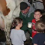 Familienbauernhof Christa Farma Rossleithen