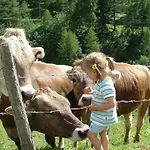 Familienbauernhof Christa * Rossleithen