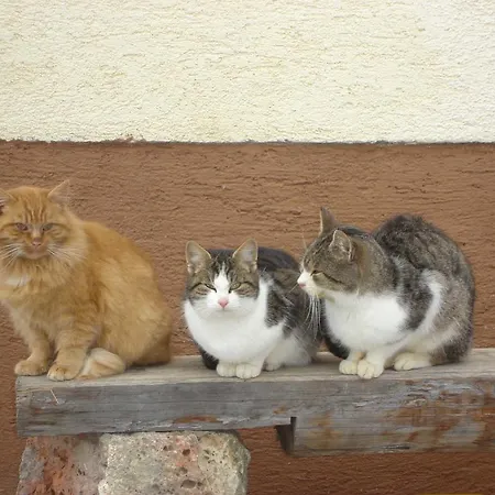 Familienbauernhof Christa Farmház