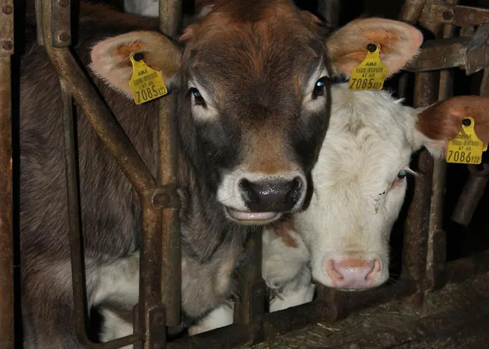 Farma Familienbauernhof Christa