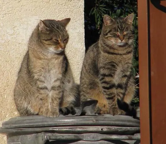 Familienbauernhof Christa Farma Rossleithen