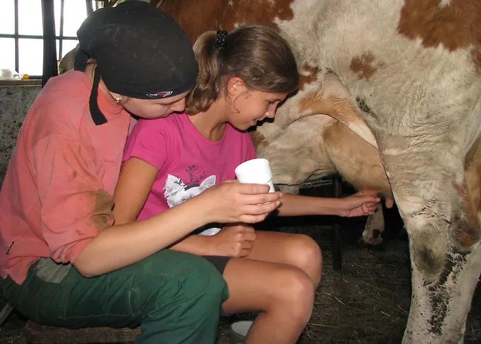 Gospodarstwo agroturystyczne Familienbauernhof Christa Rossleithen