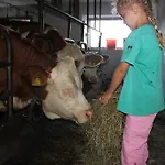 Séjour à la ferme Familienbauernhof Christa Rossleithen