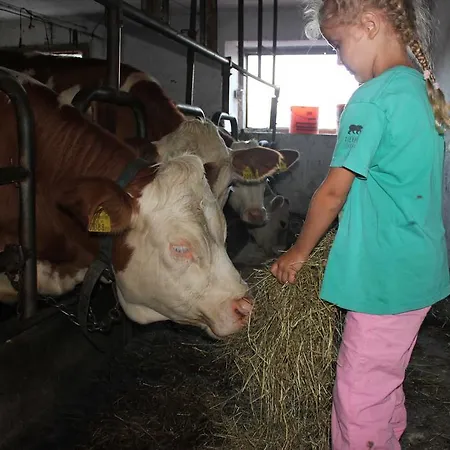 Farm stay Familienbauernhof Christa Rossleithen