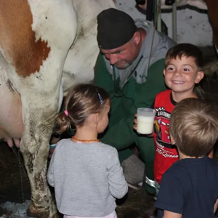 Familienbauernhof Christa Farm stay Rossleithen
