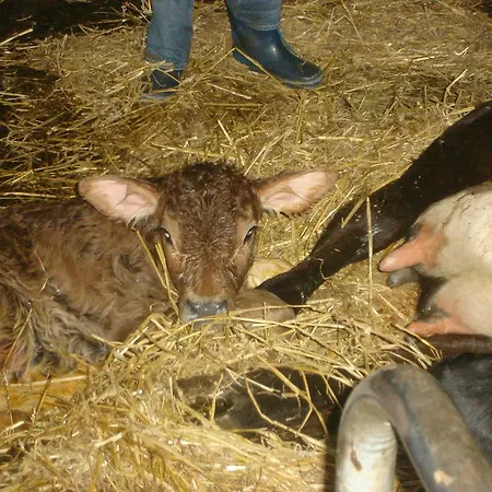 Alloggio per agriturismo Familienbauernhof Christa