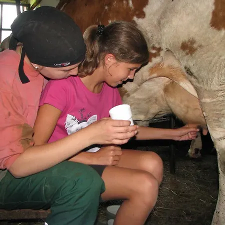 Alloggio per agriturismo Familienbauernhof Christa Rossleithen