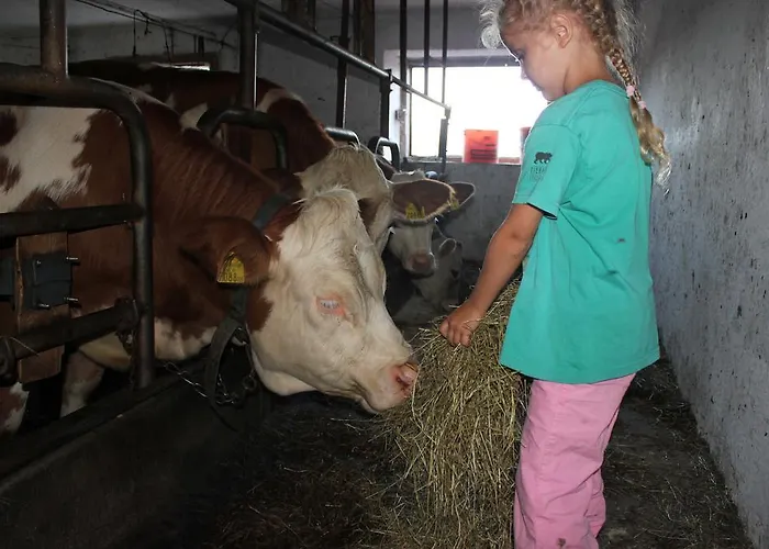 Çiftlik konaklama Familienbauernhof Christa Rossleithen